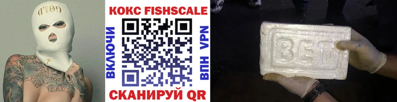 COCAIN Fish Scale  купить наркоту  Вельск 