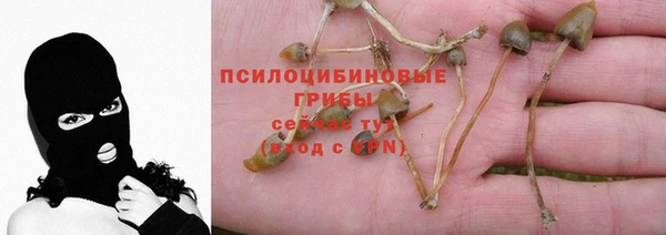 a pvp Бронницы
