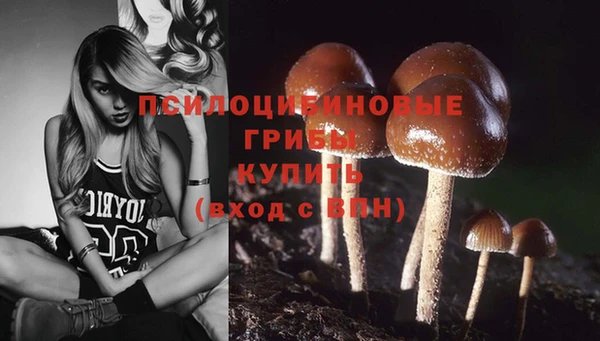 хмурый Тольятти